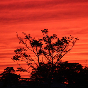 Fundraising Page: Elizabeth Michael